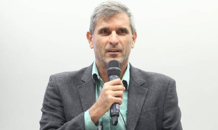Ambientalistas celebram queda no desmatamento da Mata Atlântica, mas apontam ameaças legislativas