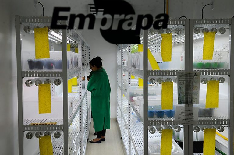 Entra em vigor lei que garante isenção de taxas para Embrapa