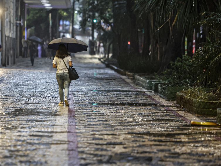 Saiba em que regiões do Brasil deve chover acima da média no verão
